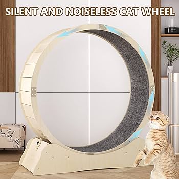 【エトねこ】肺皿 エトねこ様専用】肺皿